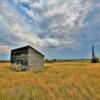 1920's wooden shed.
Logan County.