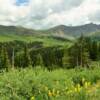 Guanella Pass.
El.  11,669 feet.
