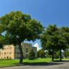 Sedwick County Courthouse.
(south angle)