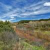 More of the San Juan River.
Archuleta County, CO.