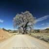 Scenic country back road.
La Plata County.