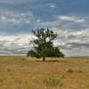 A desolate yet peaceful old setting on the prairies of
Weld County, Colorado.