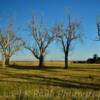 Abandoned oasis~
Near Brush, Colorado.