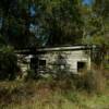 Old rural squatters house.
(c. 1907)
Madison County, FL.