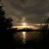 Florida's Everglades.
November evening.