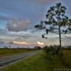 Another view looking east
along the Everglades Highway.