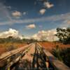 Mahogamy Marsh walkway.
Everglades National Park.