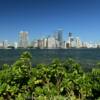 Miami skyline
South Channel.