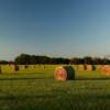 Another peek at this
Madison County hayfield.