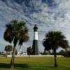 Tybee Island Lighthouse.
(through the palms)