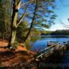 Conasauga Lake, 
Northern Georgia~