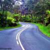 Highway 72 winding through Oahu's Hanauma Bay Nature Preserve