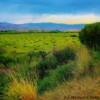 Agricultural fields-south of May, Idaho