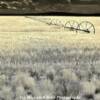 1930's style irrigation machine-near Arco, Idaho