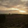 October sunset upon a
Henry County hay field.