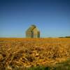 Early 1900's style storage barn~
Livingston County, Illinois.