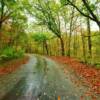 Forsythe Mill Road.
On a rainy October day.