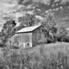 Rural Newton County~
(near Goodland, Indiana).