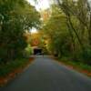 Adams Mill Covered Bridge~
(during a photo shoot).