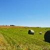 Rolling Hey Field~
Near Atlantic, Iowa.