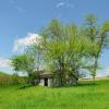 Old 'lean-to' shed.
(c.1935)
Western Iowa.