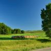 Early morning 
near Anthon, Iowa.