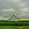 Late-July evening.
Near Ankeny, Iowa.