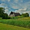 Old 'slumping' 1940's 
horse & hay barn.
Polk County.