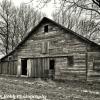 Early 20th century horse-stable  near Paullina, Iowa