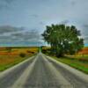 County Road.
Near Silver City, IA.