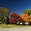 Some October foliage in
Onawa, Iowa.