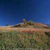 The beautiful Loess Hills.
Monona County, Iowa.