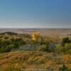 Looking west across the
Loess Hills.
Monona County.