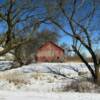 Framed in stable barn.
Monona County.