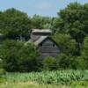 Hidden old corn crib.
Northern Iowa.