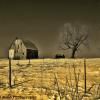 Southern Iowa barn-yard
near Bedford, Iowa