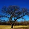 Winter time at Fort Larned National Historic Site-near Larned, Kansas