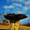 Mushroom Rock