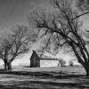 Typical central-western Kansas farm. 
Near Belpre, Kansas.