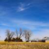 Typical Kansas scenery~
Near Miller, Kansas~