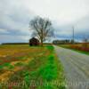 Typical Western Kentucky scenery~
(Near Lynnville, Kentucky)