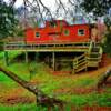 West Feliciana Railroad Caboose
St Francisville, Louisiana