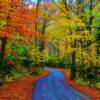 Brilliant fall colors-Maine's Baxter State Park