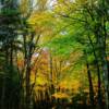 Baxter State Park during the late autumn-near Mt Katahdin