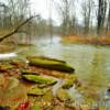 Gunpowder River~
Near Jericho, Maryland.