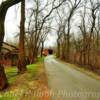 Foxcatcher Farm Covered Bridge.
(eastern angle)