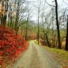 Northeastern Maryland 
(on a mild late-December day)