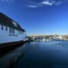 Beacon Marine Basin.
Gloucester.