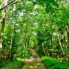 1.6 Mile walking trail to the
Au Sable Point Lighthouse~
