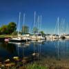 Northport Harbour & Yachts~
(Early August evening).